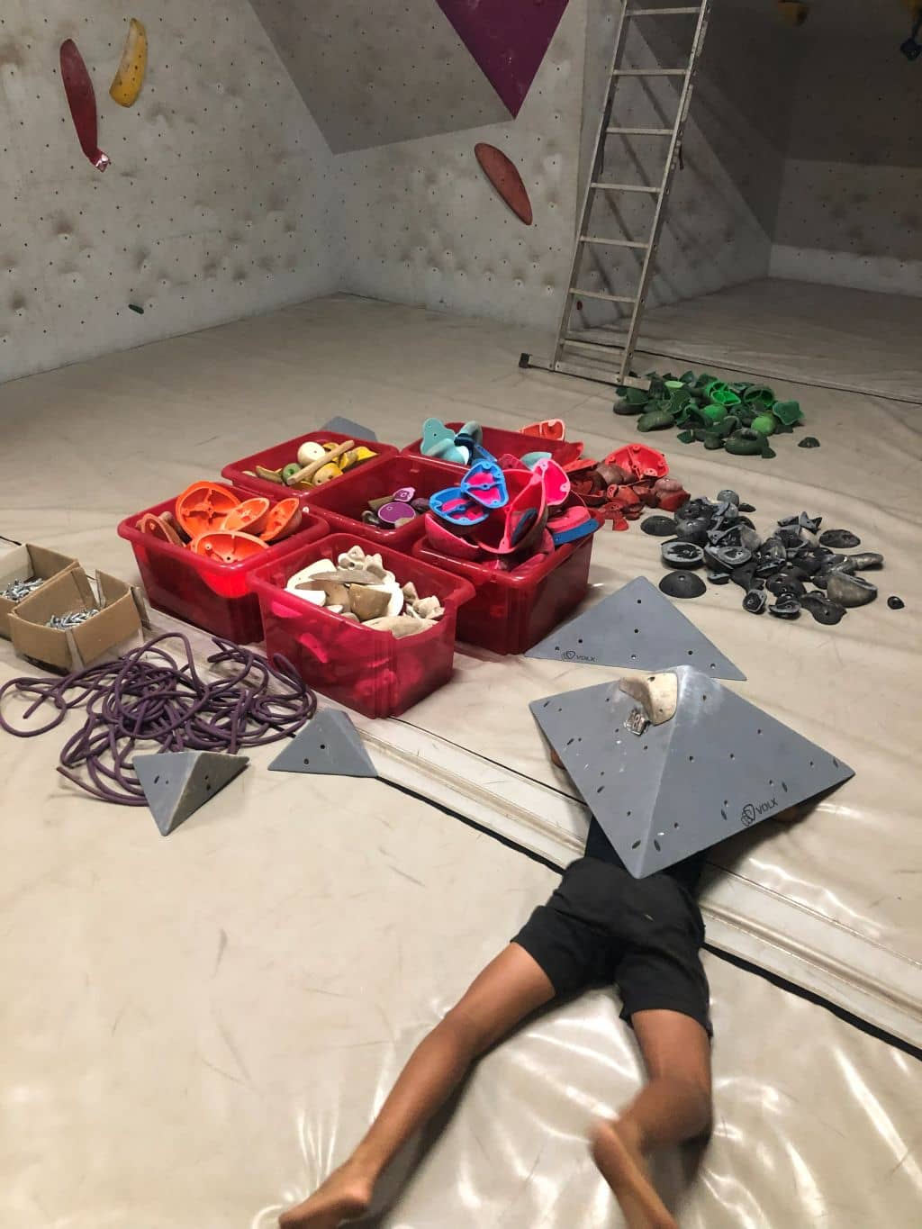 gallery grid image
